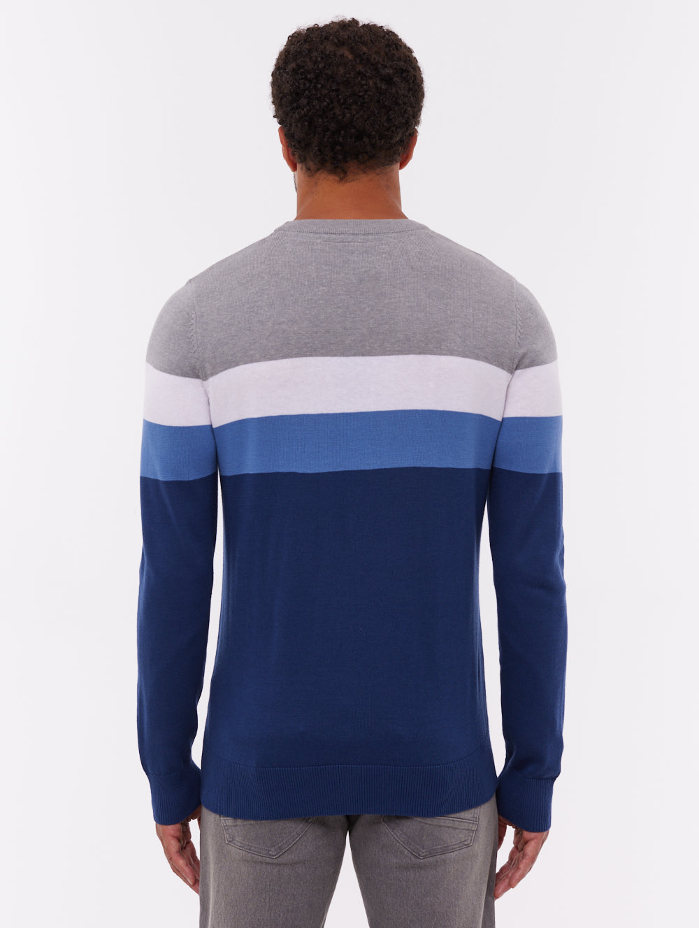 Toone Striped Crew Neck Sweater - Blue
